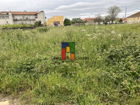 Terreno Para Construção  Venda em Mira,Mira