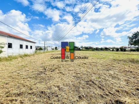 Terreno Para Construção  Venda em São Martinho do Bispo e Ribeira de Frades,Coimbra