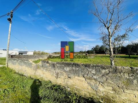 Terreno Urbano  Venda em Mira,Mira