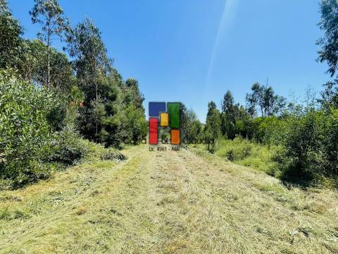 Terreno Para Construção  Venda em Mira,Mira