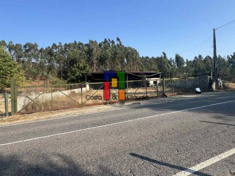 Terreno Rústico  Venda em Caparrosa e Silvares,Tondela