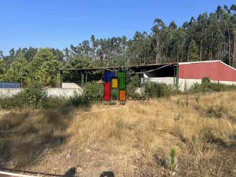 Terreno Rústico  Venda em Caparrosa e Silvares,Tondela