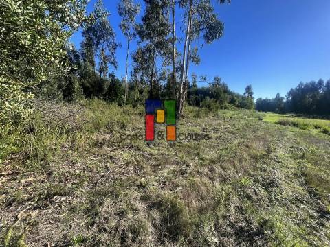 Terreno Urbano  Venda em Mira,Mira