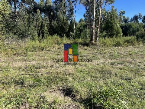 Terreno Urbano  Venda em Mira,Mira
