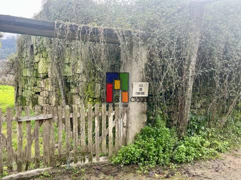 Terreno Urbano  Venda em Serrazes,São Pedro do Sul