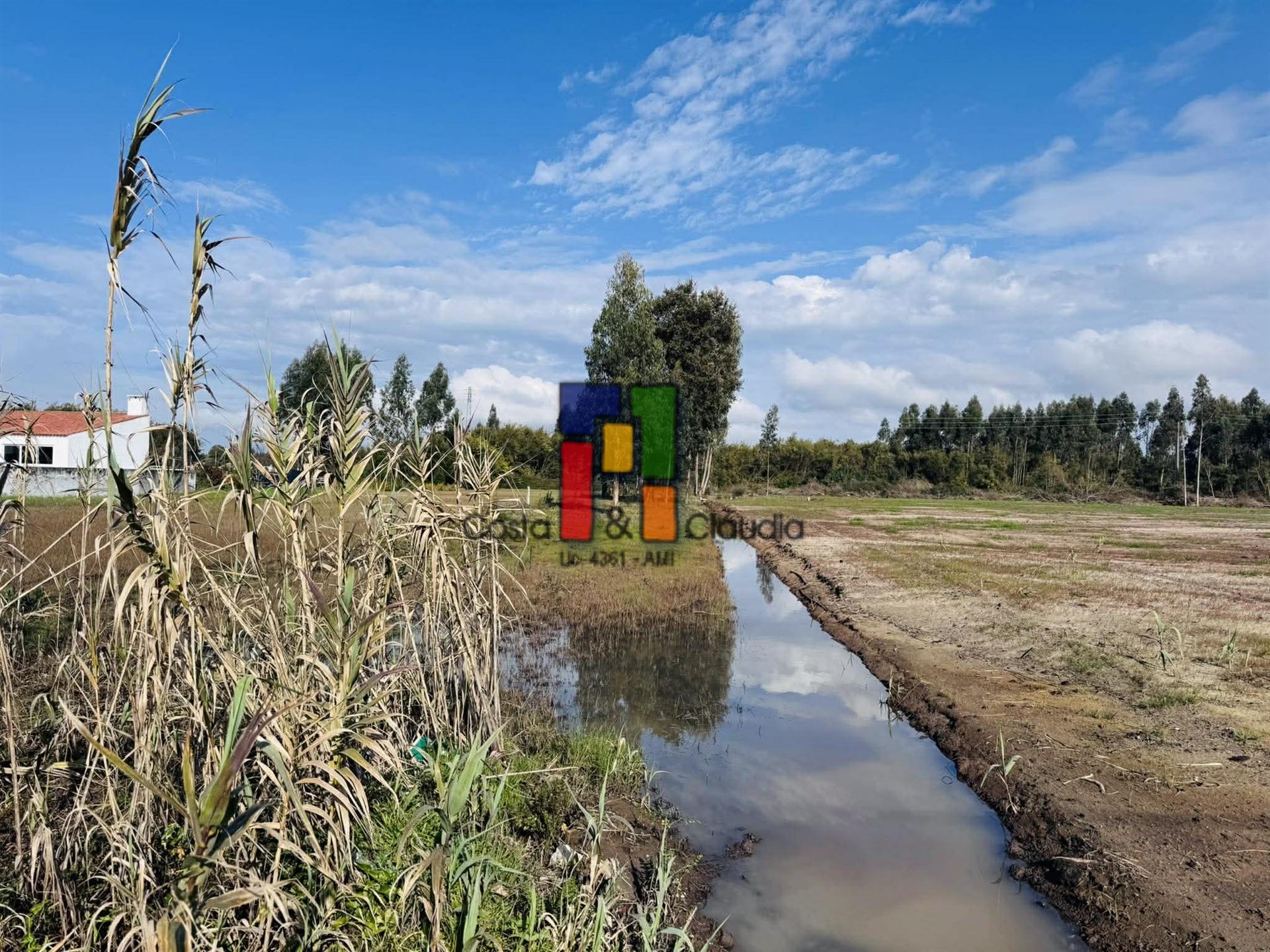 Lote Industrial  Venda em Mira,Mira
