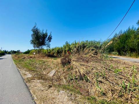 Terreno Urbano T3 Venda em Mira,Mira