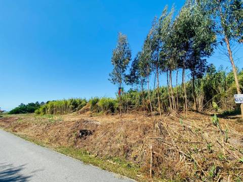 Terreno Urbano T3 Venda em Mira,Mira