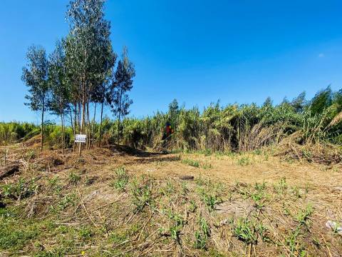 Terreno Urbano T3 Venda em Mira,Mira