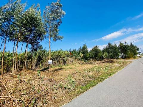 Terreno Urbano T3 Venda em Mira,Mira