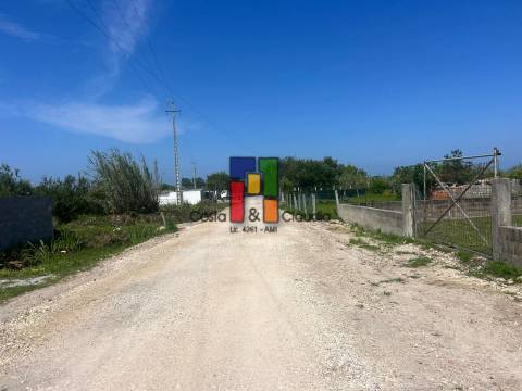 Terreno Rústico  Venda em Praia de Mira,Mira