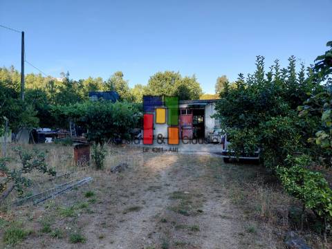 Quinta T3 Venda em Caparrosa e Silvares,Tondela
