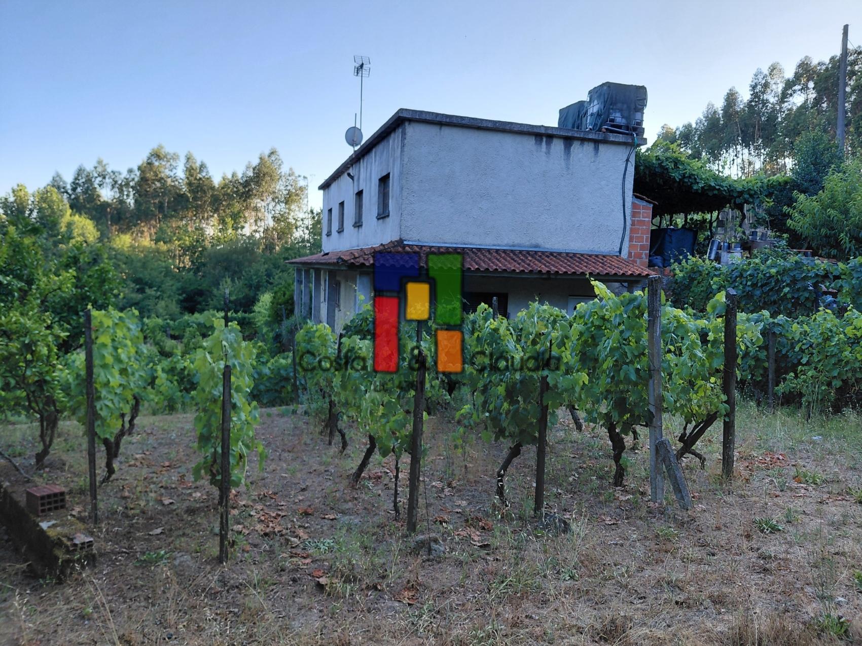 Quinta T3 Venda em Caparrosa e Silvares,Tondela
