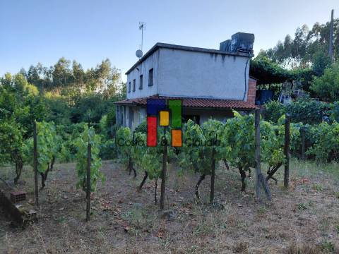 Quinta T3 Venda em Caparrosa e Silvares,Tondela