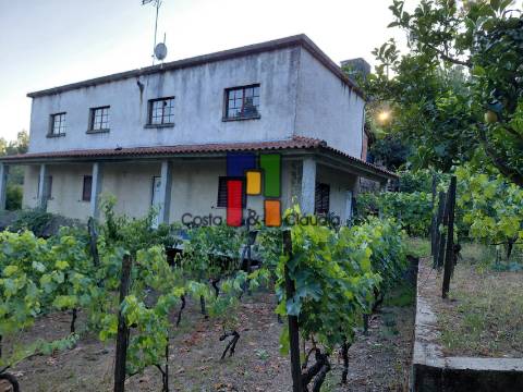 Quinta T3 Venda em Caparrosa e Silvares,Tondela