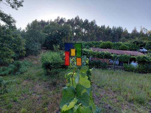 Quinta T3 Venda em Caparrosa e Silvares,Tondela