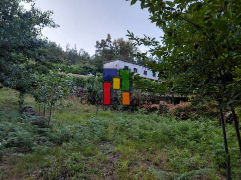 Quinta T3 Venda em Caparrosa e Silvares,Tondela