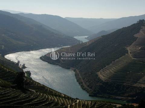 Terreno Para Construção  Venda em Valença do Douro,Tabuaço