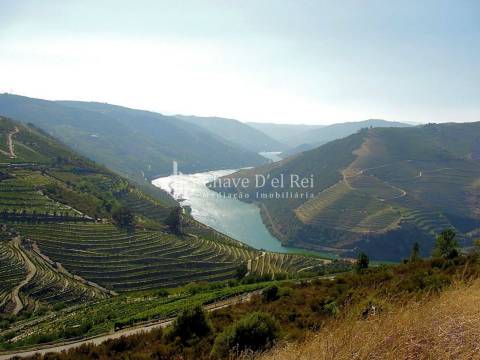 Terreno Para Construção  Venda em Valença do Douro,Tabuaço