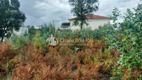Terreno Para Construção  Venda em Cavernães,Viseu
