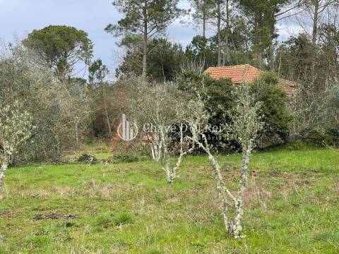 Terreno Misto  Venda em Espinho,Mangualde
