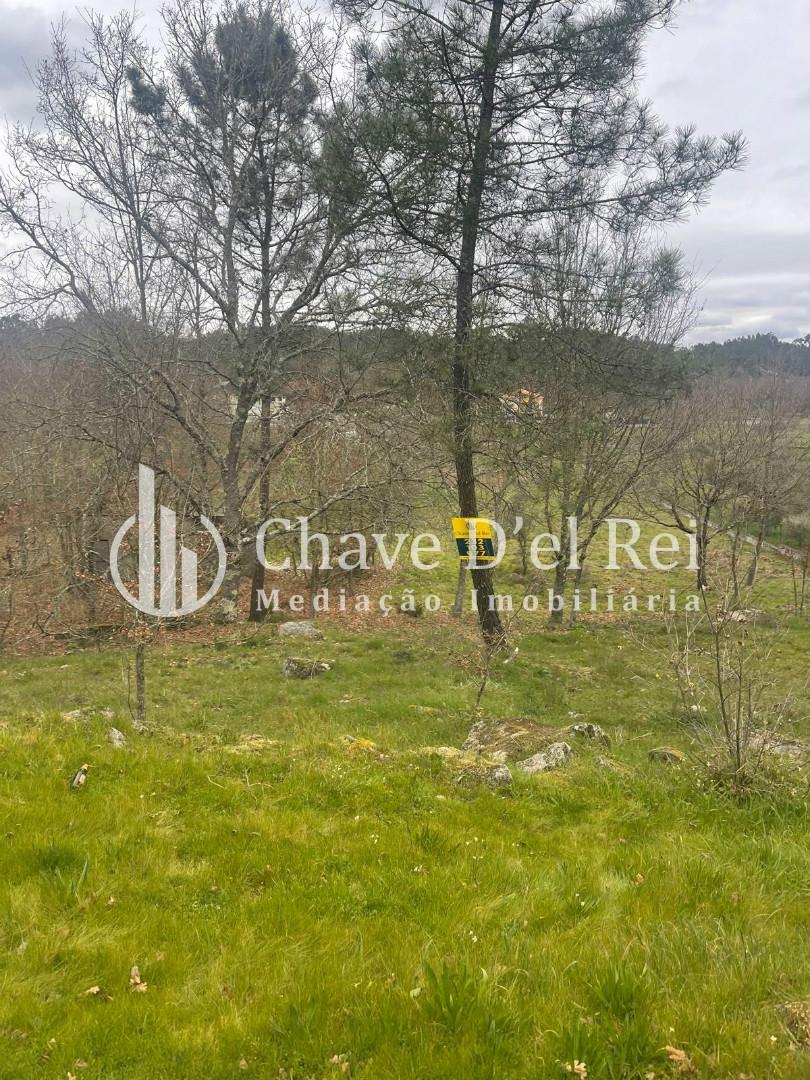 Terreno Misto  Venda em São Miguel do Mato,Vouzela