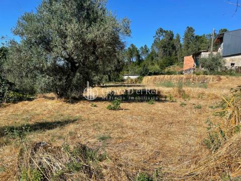 Terreno  Venda em Santar e Moreira,Nelas