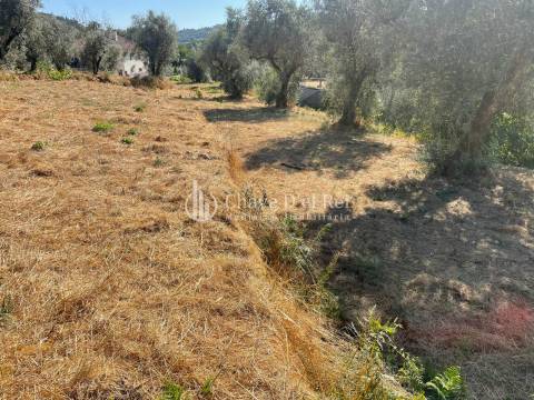 Terreno  Venda em Santar e Moreira,Nelas