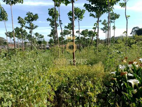 Terreno para Construção