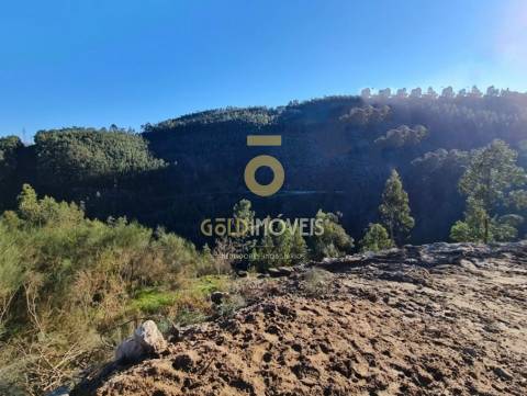 Terreno Para Construção  Venda em Rio de Moinhos,Penafiel