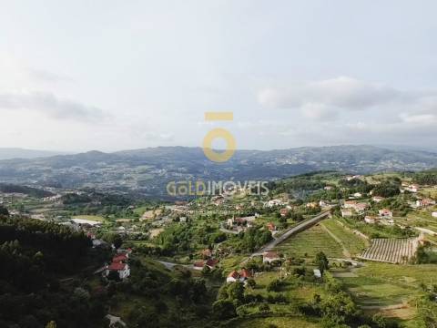 Terreno Rústico  Venda em Tarouquela,Cinfães