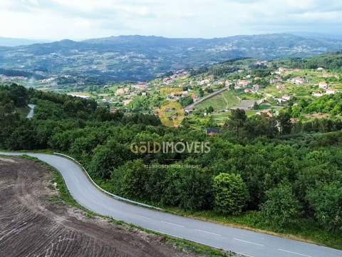 Terreno Rústico  Venda em Tarouquela,Cinfães