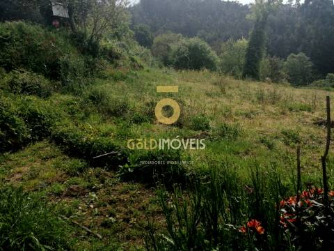 Terreno  Venda em Chave,Arouca
