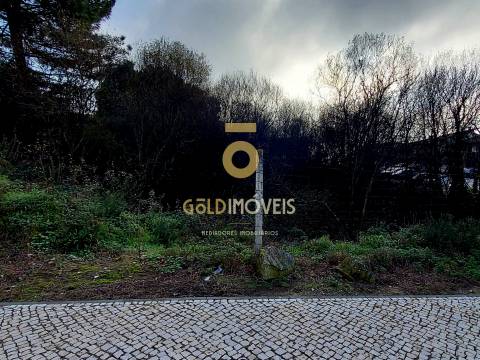 Terreno Para Construção  Venda em Oliveira de Azeméis, Santiago de Riba-Ul, Ul, Macinhata da Seixa e Madail,Oliveira de Azeméis