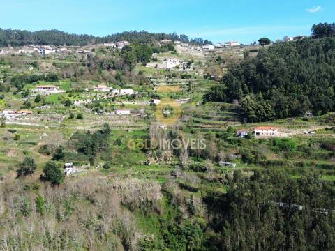 Terreno Rústico  Venda em Souselo,Cinfães
