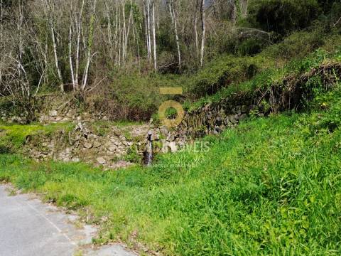 Terreno Rústico  Venda em Souselo,Cinfães