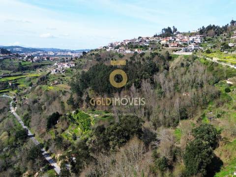 Terreno Rústico  Venda em Souselo,Cinfães