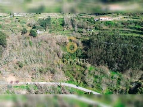 Terreno Rústico  Venda em Souselo,Cinfães