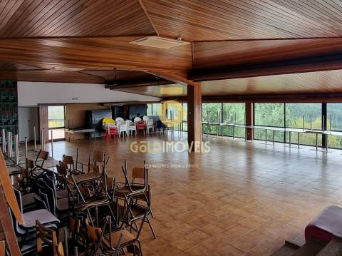 Quinta >=T10 Venda em Oliveira de Azeméis, Santiago de Riba-Ul, Ul, Macinhata da Seixa e Madail,Oliveira de Azeméis
