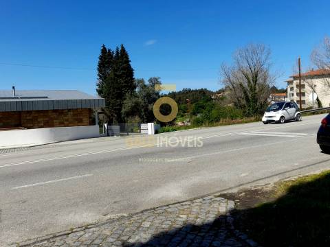 Terreno Para Construção  Venda em Pinheiro da Bemposta, Travanca e Palmaz,Oliveira de Azeméis