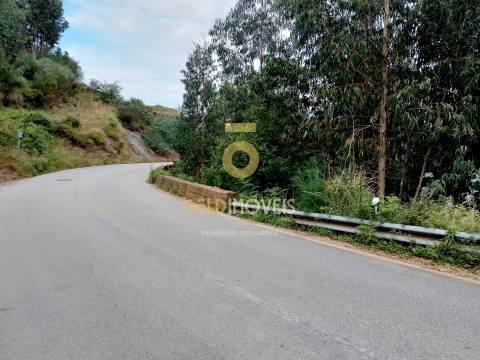 Terreno Rústico  Venda em Raiva, Pedorido e Paraíso,Castelo de Paiva