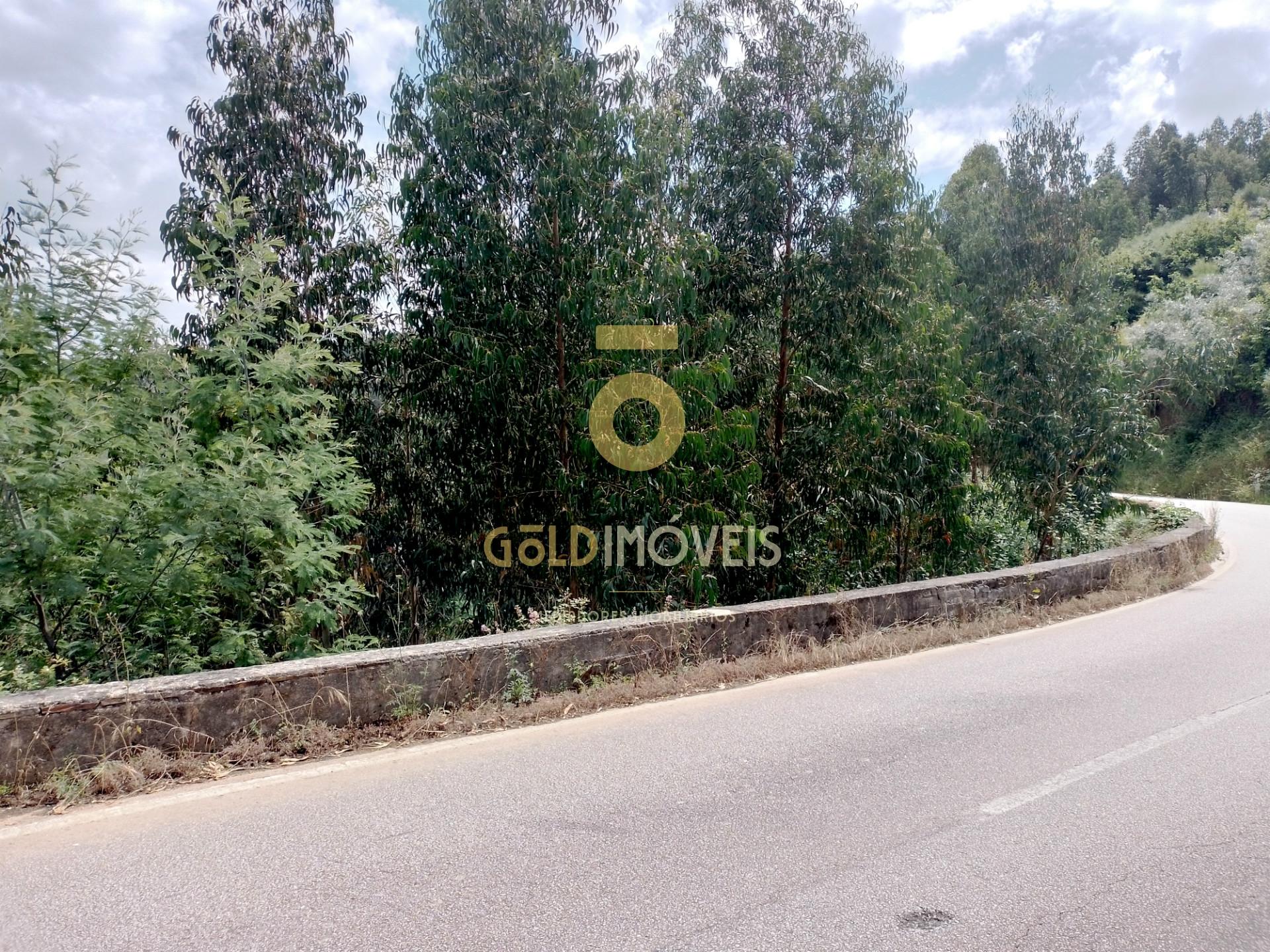Terreno Rústico  Venda em Raiva, Pedorido e Paraíso,Castelo de Paiva