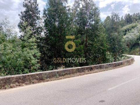 Terreno Rústico  Venda em Raiva, Pedorido e Paraíso,Castelo de Paiva