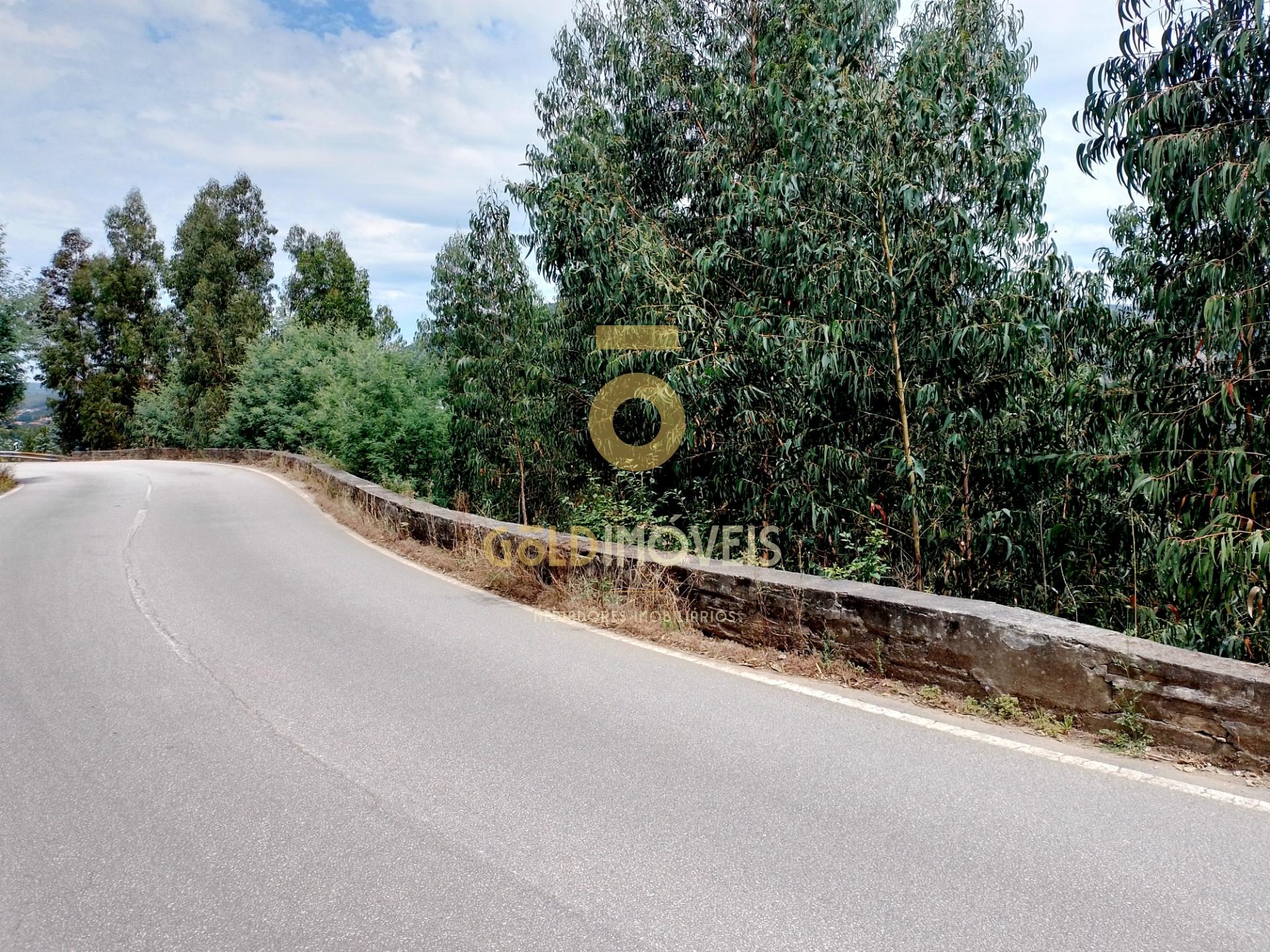 Terreno Rústico  Venda em Raiva, Pedorido e Paraíso,Castelo de Paiva