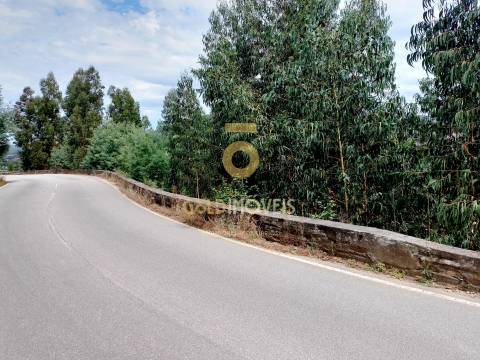 Terreno Rústico  Venda em Raiva, Pedorido e Paraíso,Castelo de Paiva