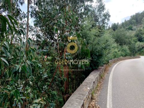 Terreno Rústico  Venda em Raiva, Pedorido e Paraíso,Castelo de Paiva