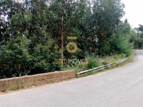 Terreno Rústico  Venda em Raiva, Pedorido e Paraíso,Castelo de Paiva