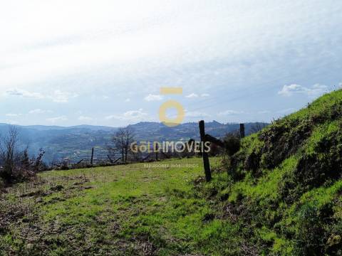 Terreno para Construção