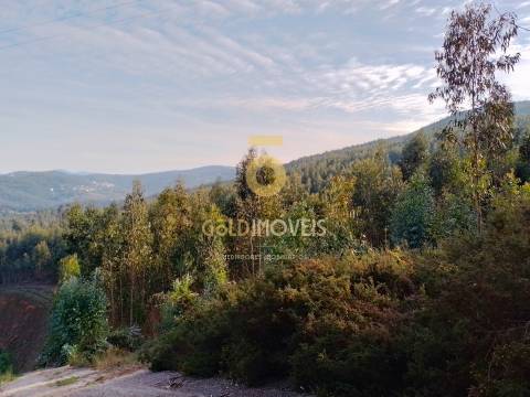 Terreno Florestal