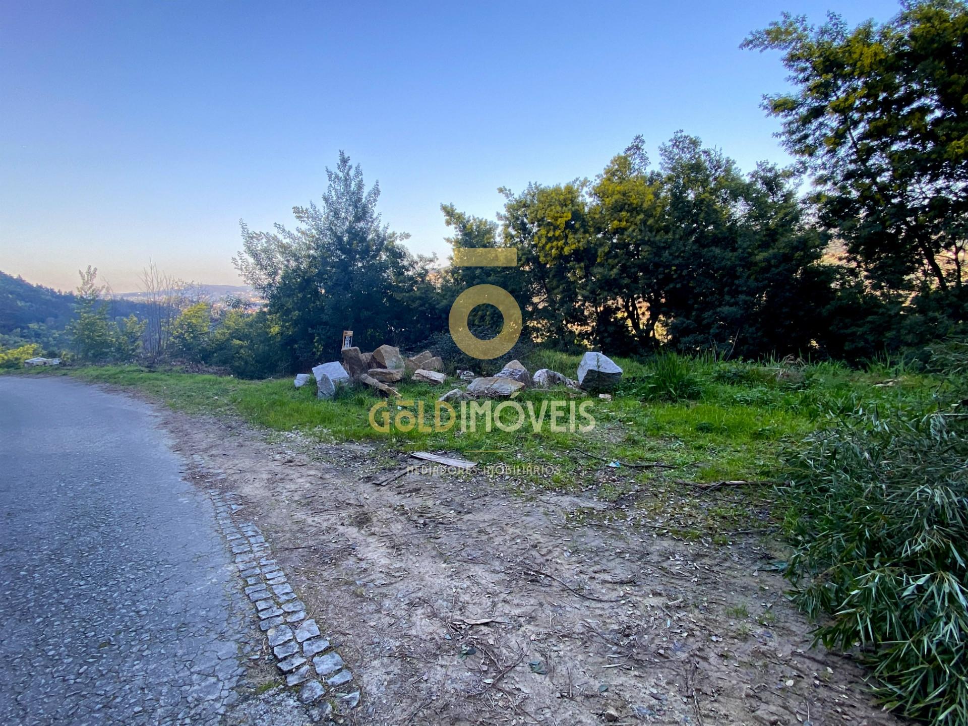 Terreno Florestal